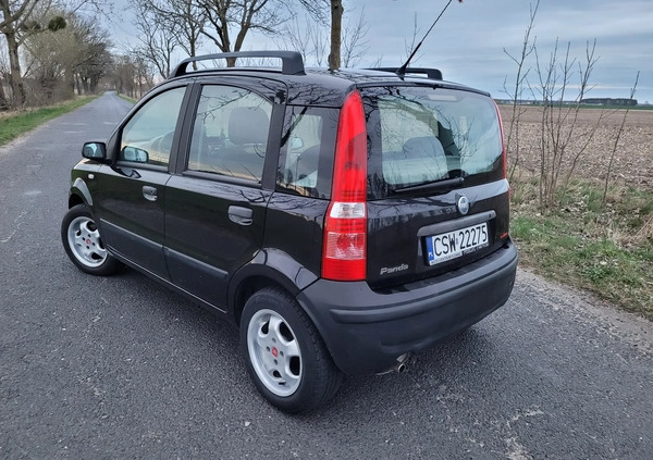 Fiat Panda cena 7900 przebieg: 158000, rok produkcji 2004 z Chełmno małe 352